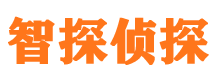 会宁市私家侦探